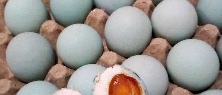 Telur Bebek