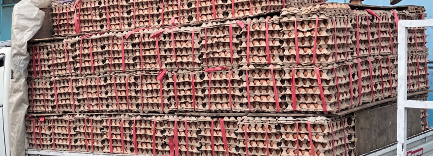 Persiapan Pengantaran Telur ke Papua