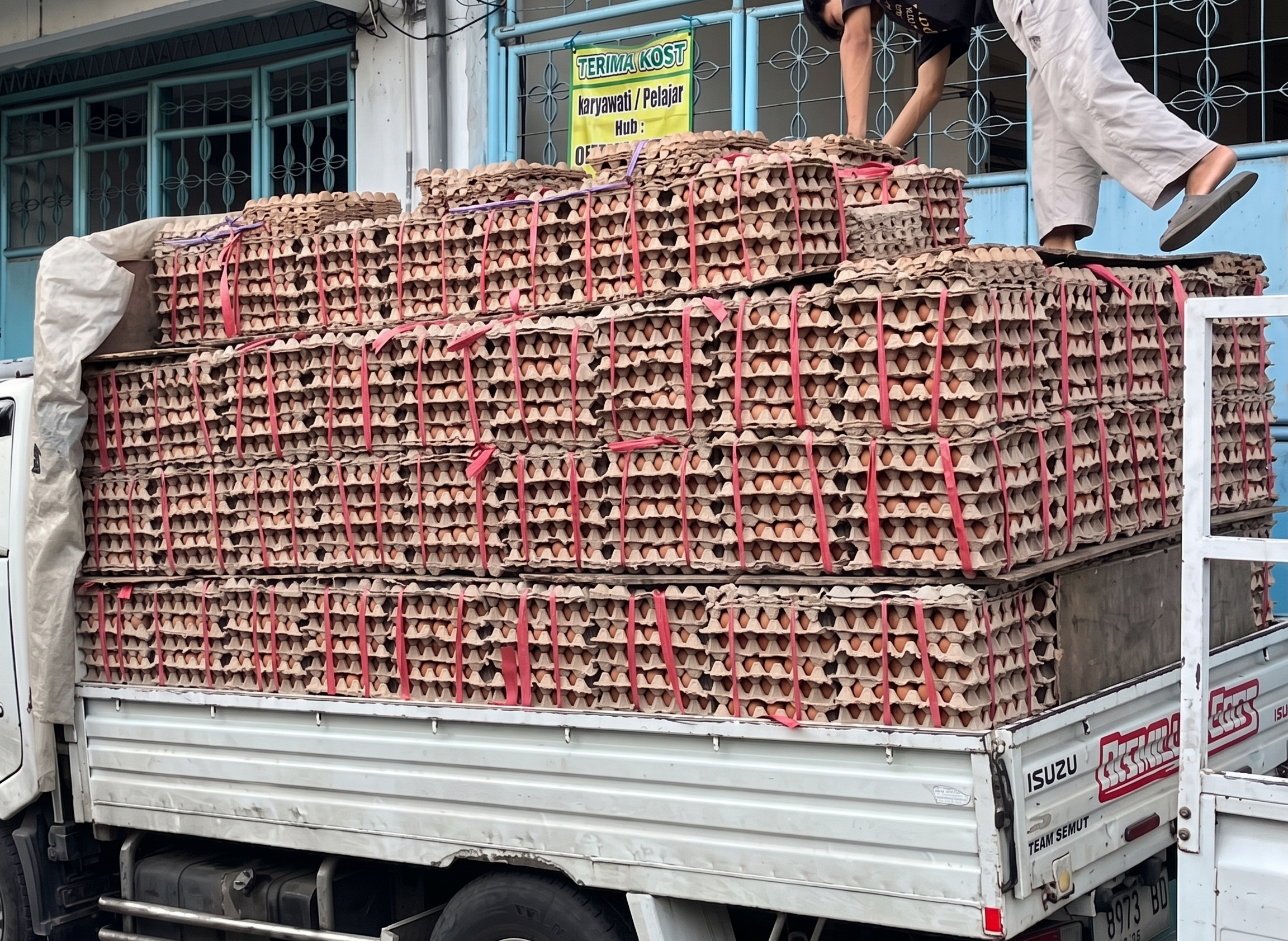 Persiapan Pengantaran Telur ke Papua